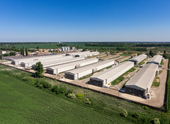 Канадська Fairfax Financial Holdings докупила 7,1% акцій агрохолдингу "Овостар" (Ovostar Union)